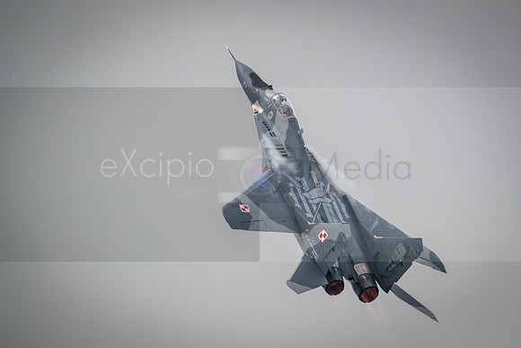 RIAT 2016-4503