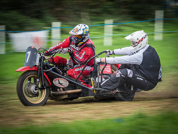 Danebury Grass Track  October 2017-2032
