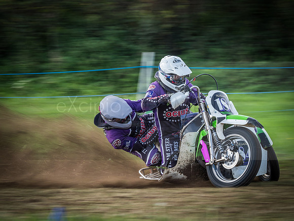 Danebury Grass Track  October 2017-2360