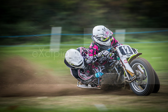 Danebury Grass Track  October 2017-0273