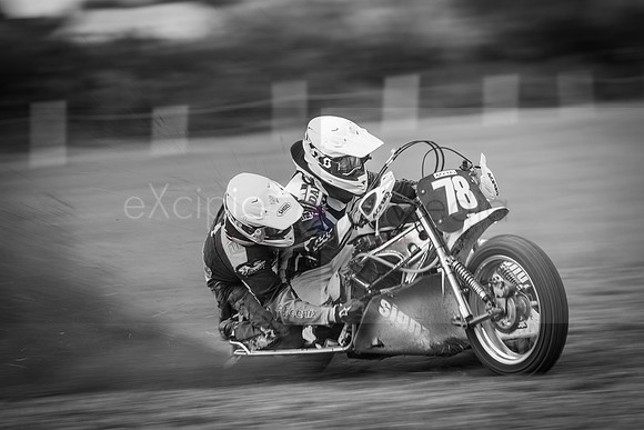 Danebury Grass Track  October 2017-0284