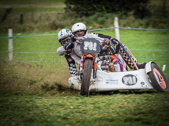 Danebury Grass Track  October 2017-1785