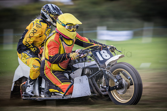 Danebury Grass Track  October 2017-0248
