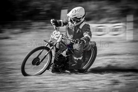 Danebury Grass Track  October 2017-0078