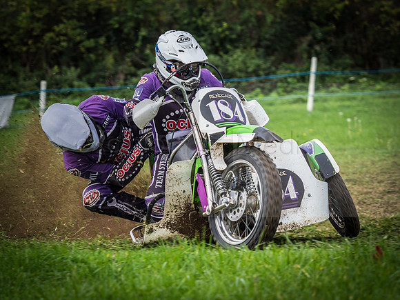 Danebury Grass Track  October 2017-2002