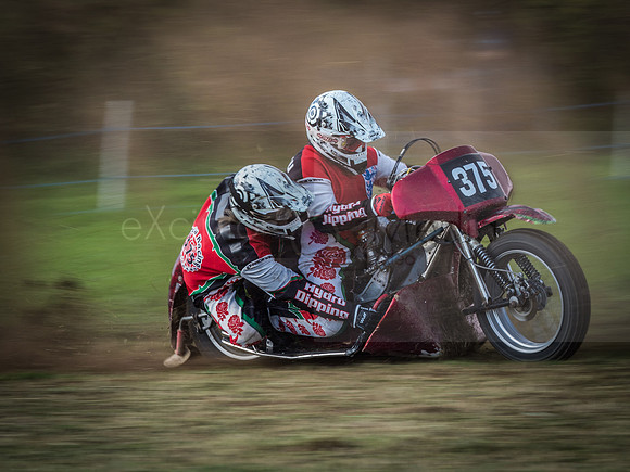 Danebury Grass Track  October 2017-2365
