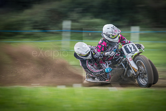 Danebury Grass Track  October 2017-0268