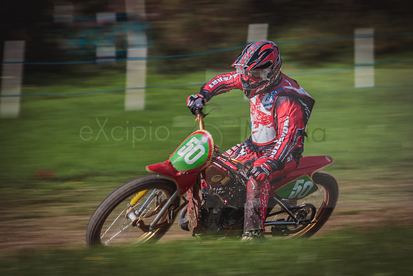 Danebury Grass Track  October 2017-0051