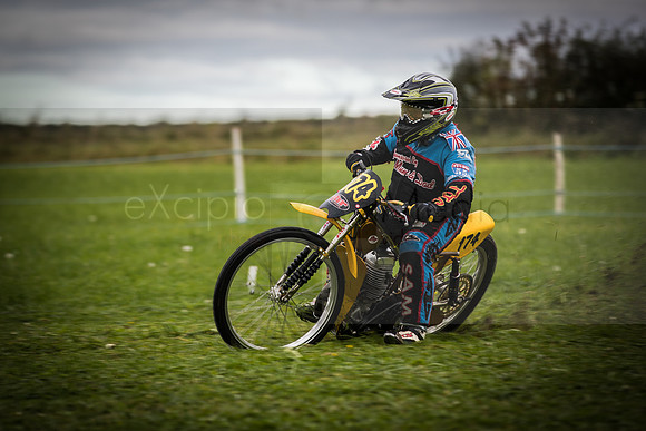 Danebury Grass Track  October 2017-9720