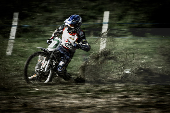Danebury Grass Track  October 2017-0104