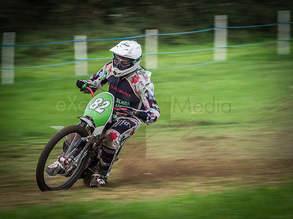 Danebury Grass Track  October 2017-2016