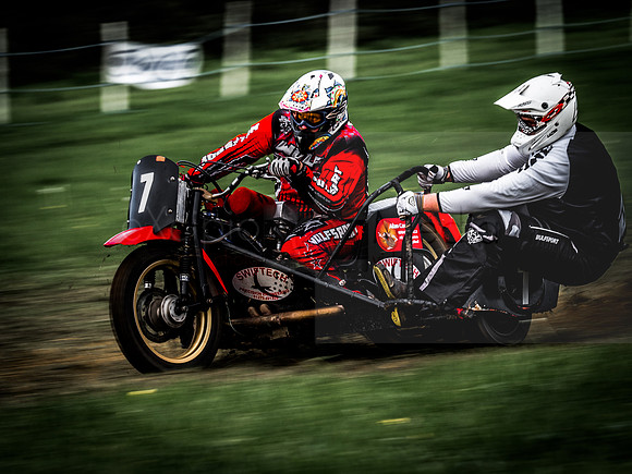 Danebury Grass Track  October 2017-2042