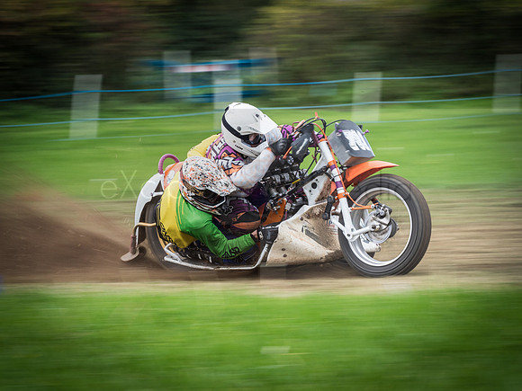 Danebury Grass Track  October 2017-2809