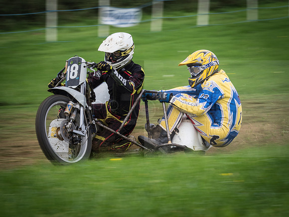 Danebury Grass Track  October 2017-2043