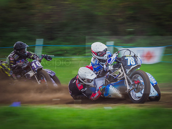 Danebury Grass Track  October 2017-2990