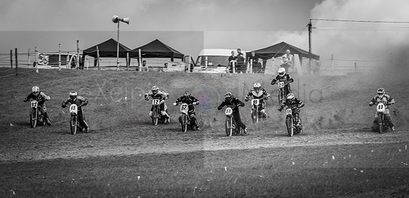 Danebury Grass Track  October 2017-0496