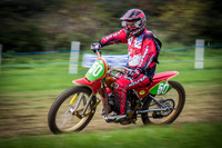 Danebury Grass Track  October 2017-9937