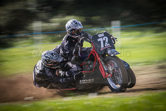 Danebury Grass Track  October 2017-0450