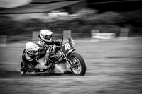 Danebury Grass Track  October 2017-9954