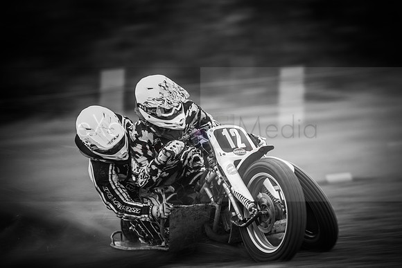 Danebury Grass Track  October 2017-0535