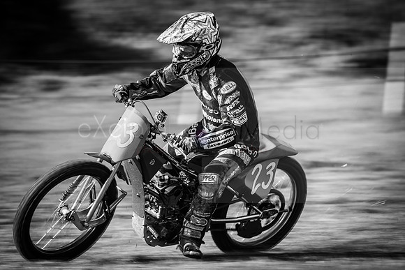 Danebury Grass Track  October 2017-0095