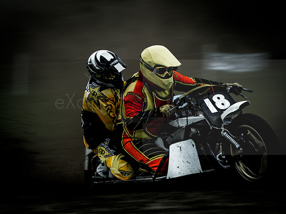 Danebury Grass Track  October 2017-2999