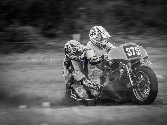 Danebury Grass Track  October 2017-2951