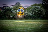 EAAA-Bedford-2501