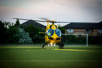 EAAA-Bedford-2394