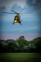 EAAA-Bedford-2486