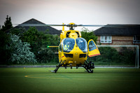 EAAA-Bedford-2373