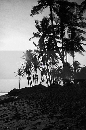 Ghana 2009 124