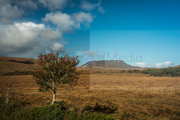 Ireland 2018-09187-HDR