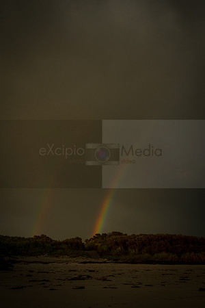 Ireland 2018-09041