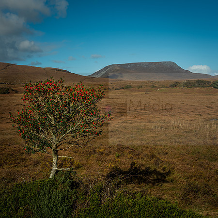 Ireland 2018-09178-HDR