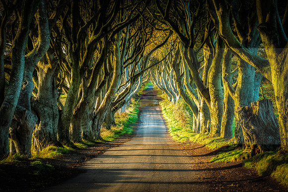 Northern Ireland 2018-08614-Edit-Edit