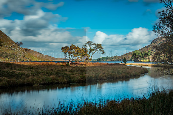 Ireland 2018-09239