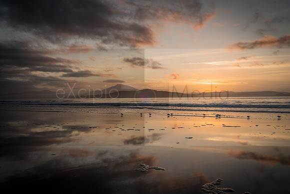 Ireland 2018-00616