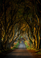 Northern Ireland 2018-08649-Edit-Edit