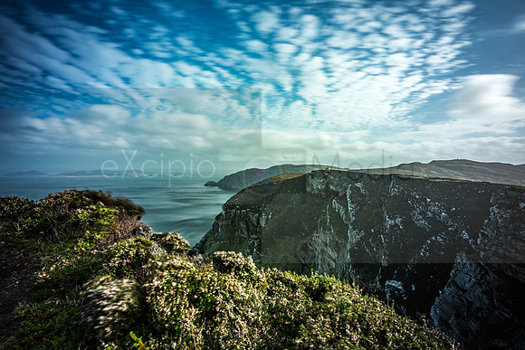 Ireland 2018-09010