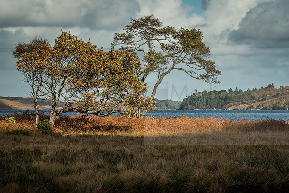 Ireland 2018-09245