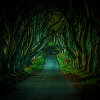 Northern Ireland 2018-08616-Edit