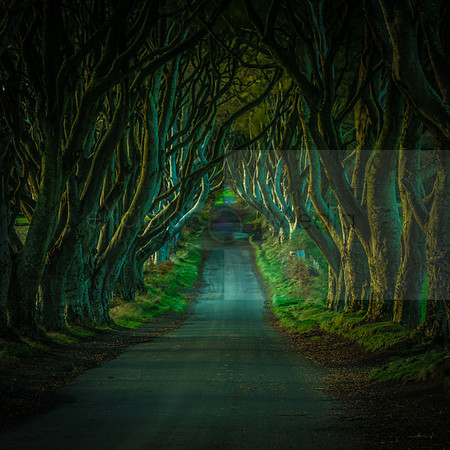 Northern Ireland 2018-08616-Edit