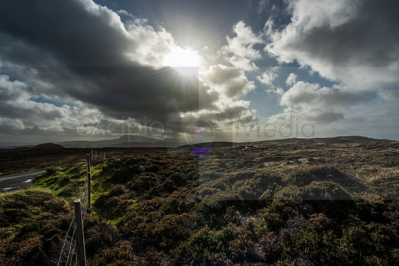 Ireland 2018-08995