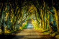 Northern Ireland 2018-08614-Edit-Edit-Edit