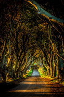 Northern Ireland 2018-08626-Edit-Edit