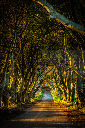 Northern Ireland 2018-08626-Edit-Edit