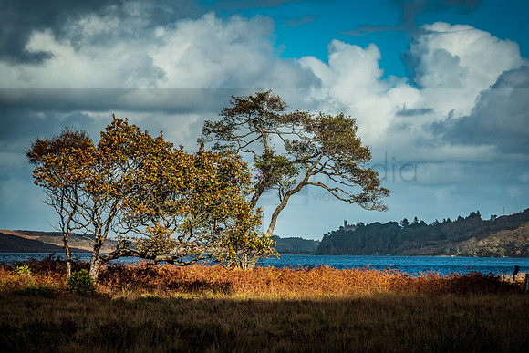 Ireland 2018-09259-HDR