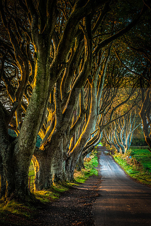 Northern Ireland 2018-08673-HDR-Edit