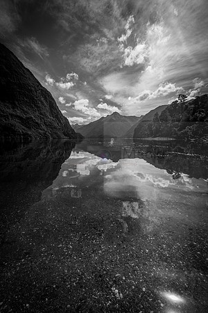 NZ2017-9740